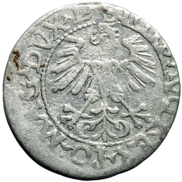 Półgrosz 1560 Zygmunt II August Wilno (2)