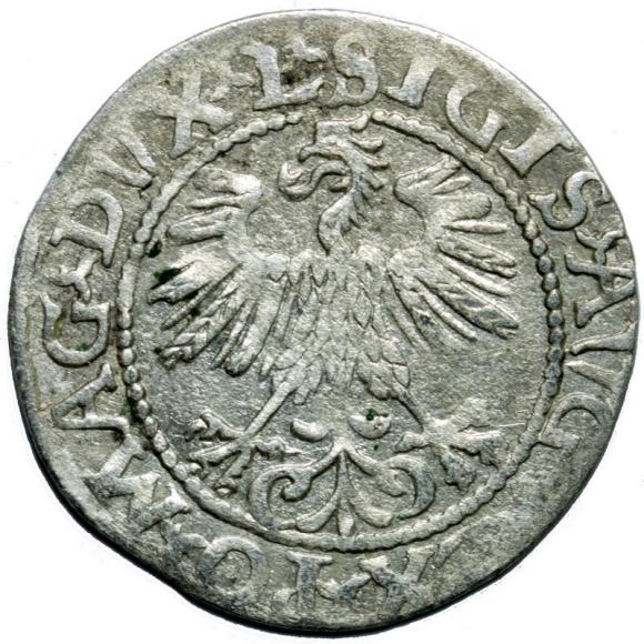 Półgrosz 1560 Zygmunt II August Wilno (2)