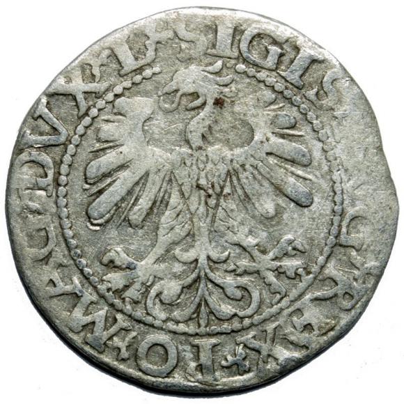 Półgrosz 1560 Zygmunt II August Wilno (2)