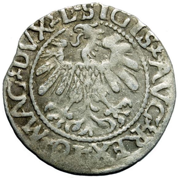 Półgrosz 1560 Zygmunt II August Wilno (2)