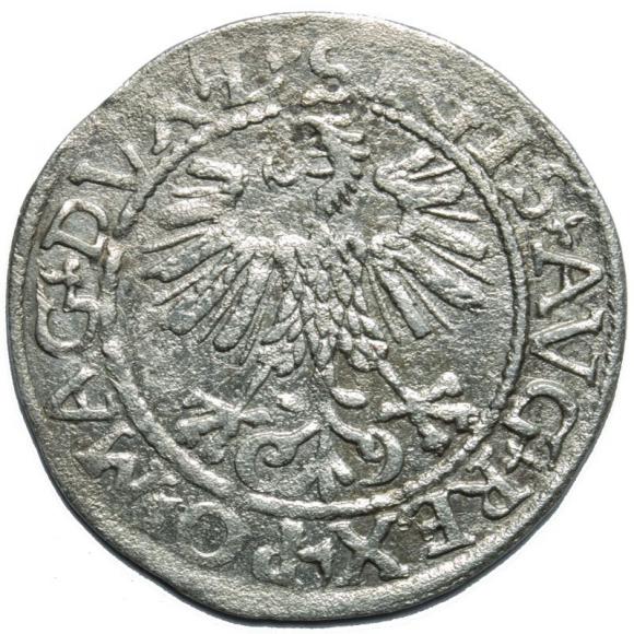 Półgrosz 1561 Zygmunt II August Wilno (2)