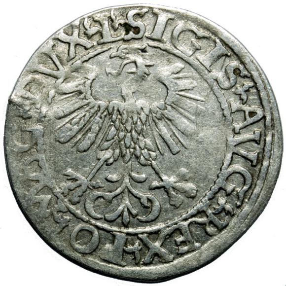Półgrosz 1561 Zygmunt II August Wilno (2)