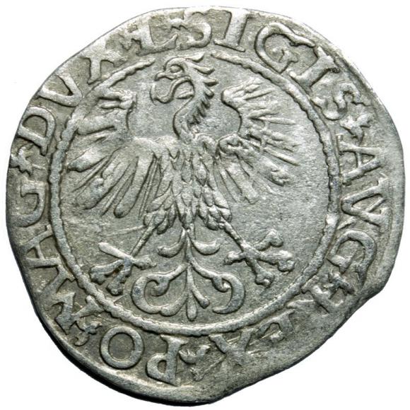 Półgrosz 1561 Zygmunt II August Wilno (2)