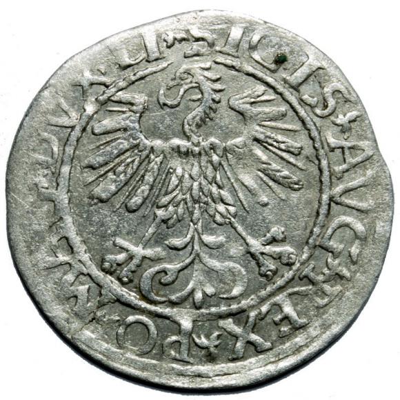 Półgrosz 1561 Zygmunt II August Wilno (2)