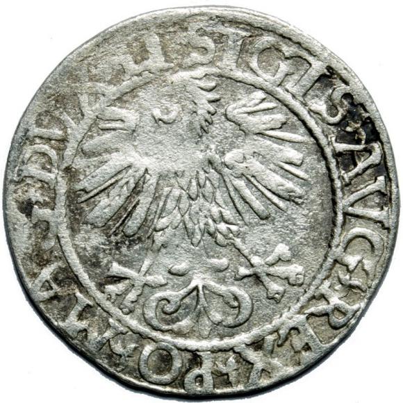 Półgrosz 1561 Zygmunt II August Wilno (2)