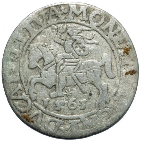 Półgrosz 1561 Zygmunt II August Wilno (1)