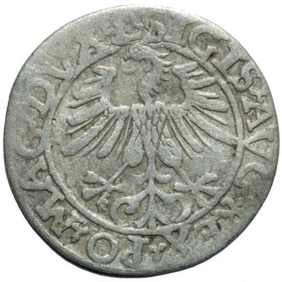 Półgrosz 1561 Zygmunt II August Wilno (2)