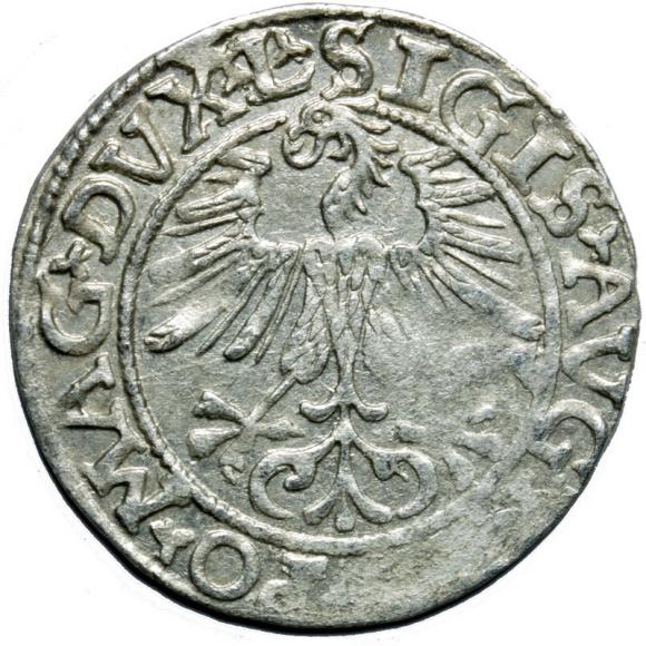 Półgrosz 1561 Zygmunt II August Wilno (2)