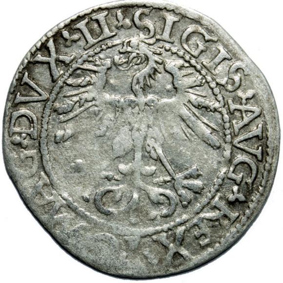 Półgrosz 1562 Zygmunt II August Wilno (2)