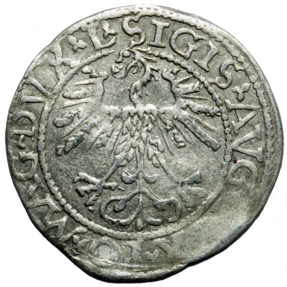 Półgrosz 1562 Zygmunt II August Wilno (2)