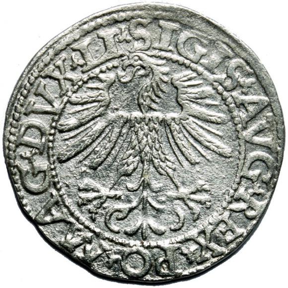 Półgrosz 1562 Zygmunt II August Wilno (2)