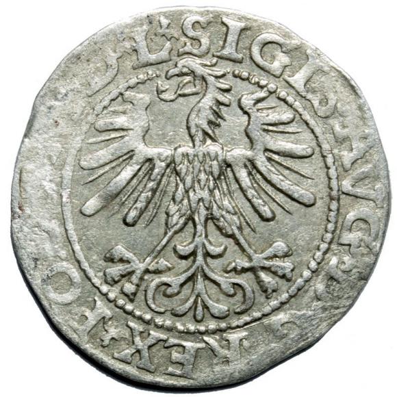 Półgrosz 1563 Zygmunt II August Wilno (2)