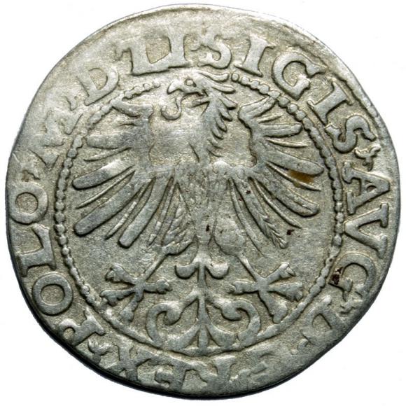 Półgrosz 1563 Zygmunt II August Wilno (2)