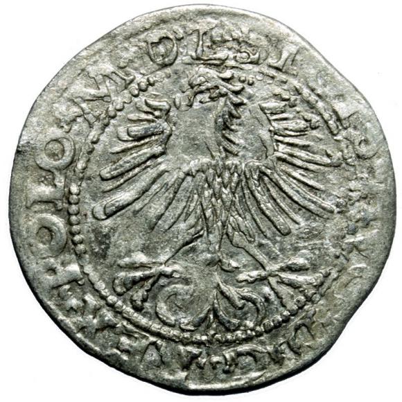 Półgrosz 1564 Zygmunt II August Wilno (2)