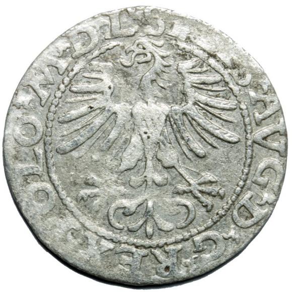 Półgrosz 1564 Zygmunt II August Wilno (2)