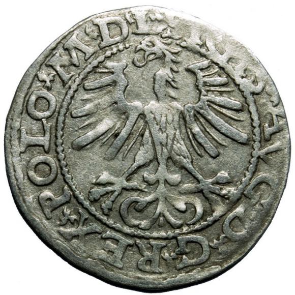 Półgrosz 1564 Zygmunt II August Wilno (2)