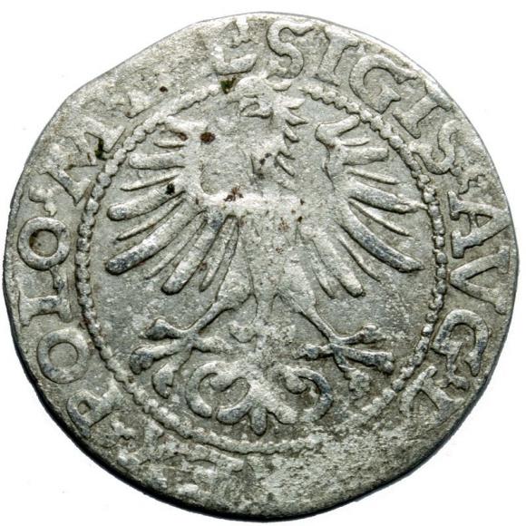 Półgrosz 1564 Zygmunt II August Wilno (2)