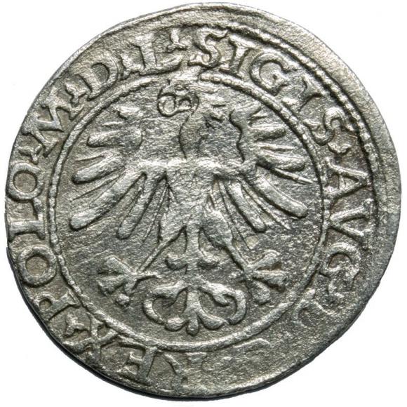 Półgrosz 1564 Zygmunt II August Wilno (2)