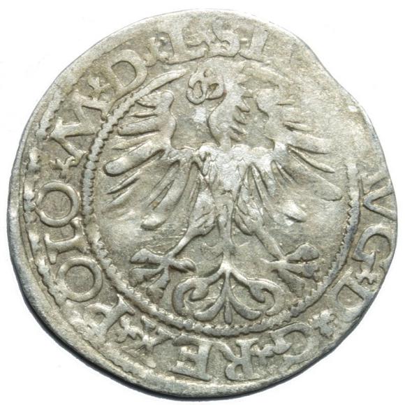 Półgrosz 1565 Zygmunt II August Wilno (2)
