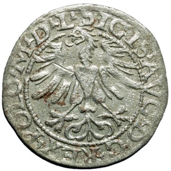 Półgrosz 1565 Zygmunt II August Wilno (2)
