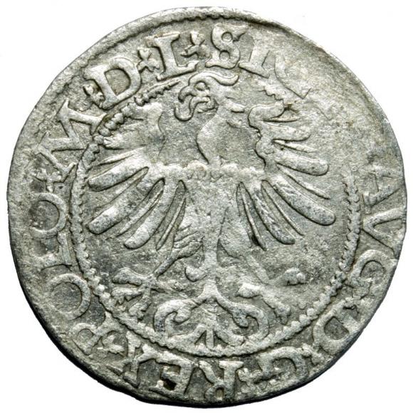 Półgrosz 1565 Zygmunt II August Wilno (2)