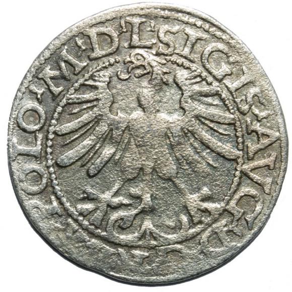 Półgrosz 1565 Zygmunt II August Wilno (2)