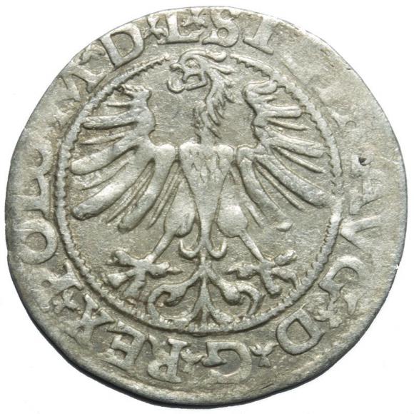 Półgrosz 1565 Zygmunt II August Wilno (2)