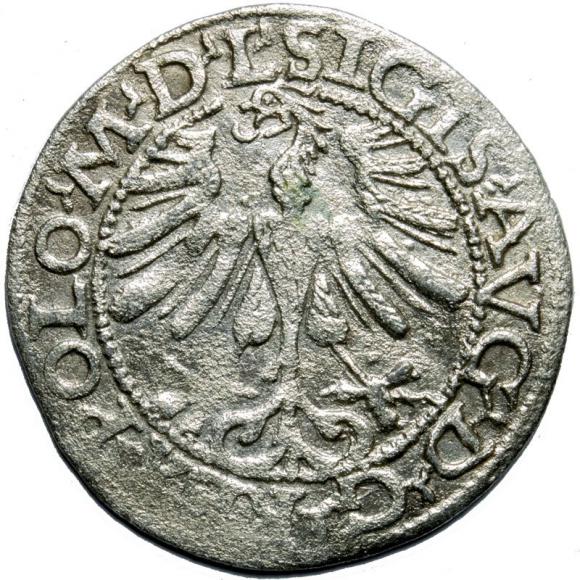 Półgrosz 1565 Zygmunt II August Wilno (2)