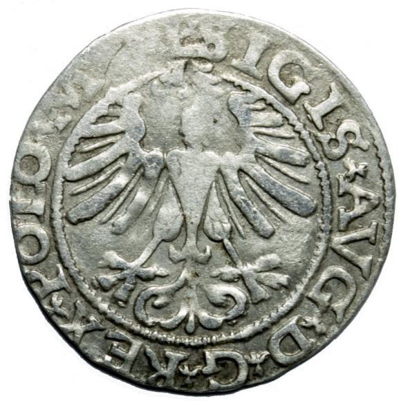 Półgrosz 1565 Zygmunt II August Wilno (2)