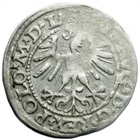 Półgrosz 1563 Zygmunt II August Wilno (2)