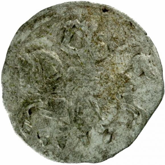 Denar 1557 Zygmunt II August Wilno (1)
