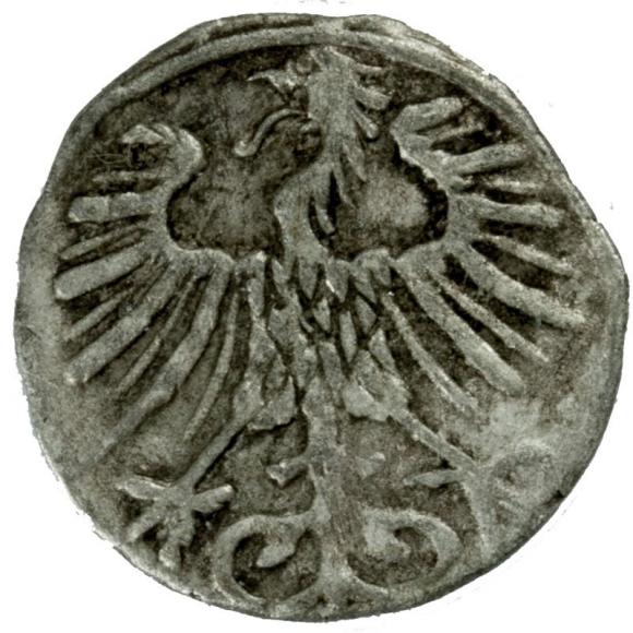 Denar 1557 Zygmunt II August Wilno (2)