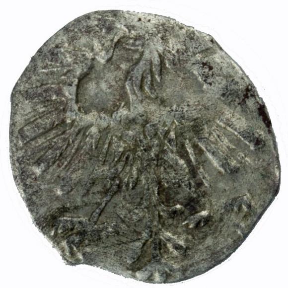 Denar 1557 Zygmunt II August Wilno (2)