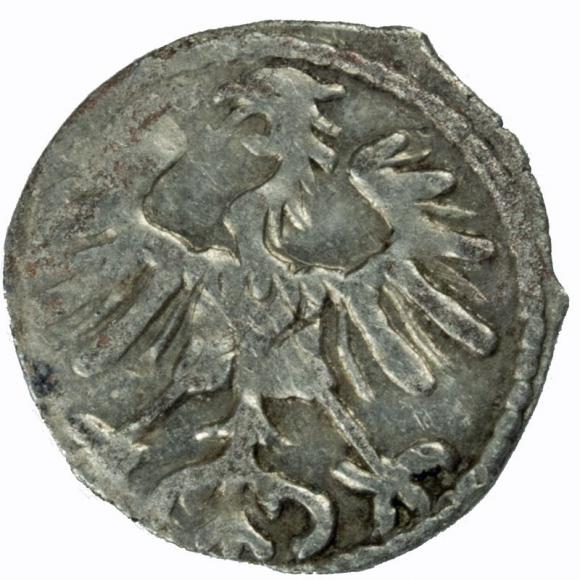 Denar 1557 Zygmunt II August Wilno (2)