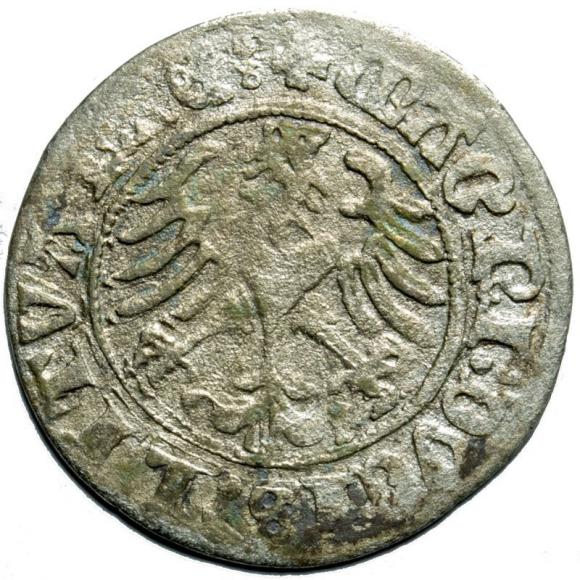 Półgrosz 1510 Zygmunt I Stary Wilno (2)
