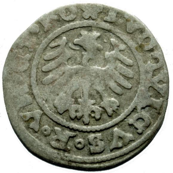 Półgrosz 1526 Ludwik I Jagiellończyk Świdnica (2)