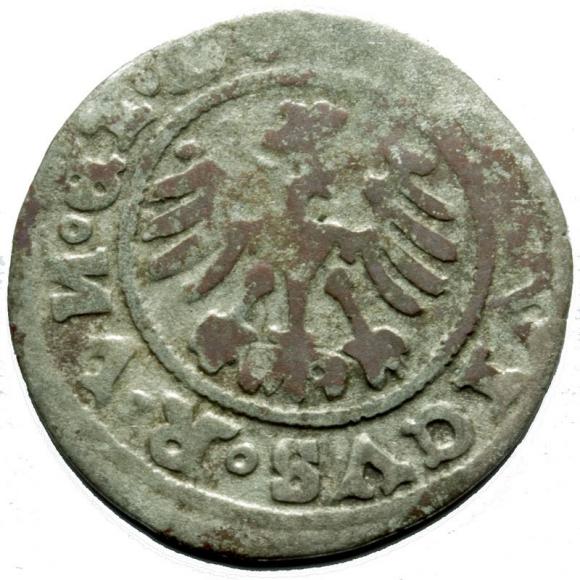 Półgrosz 1526 Ludwik I Jagiellończyk Świdnica (2)