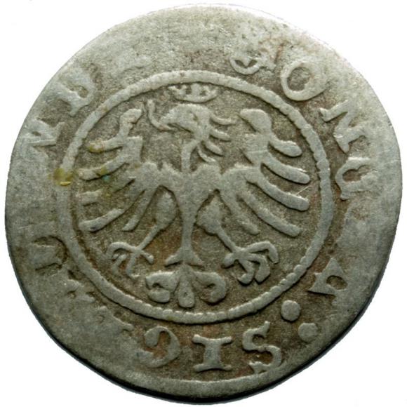 Półgrosz 1507 Zygmunt I Stary Kraków (2)