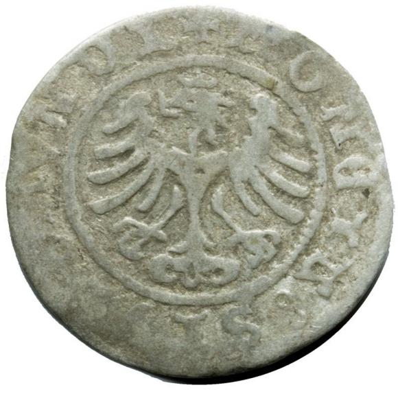Półgrosz 1507 Zygmunt I Stary Kraków (2)