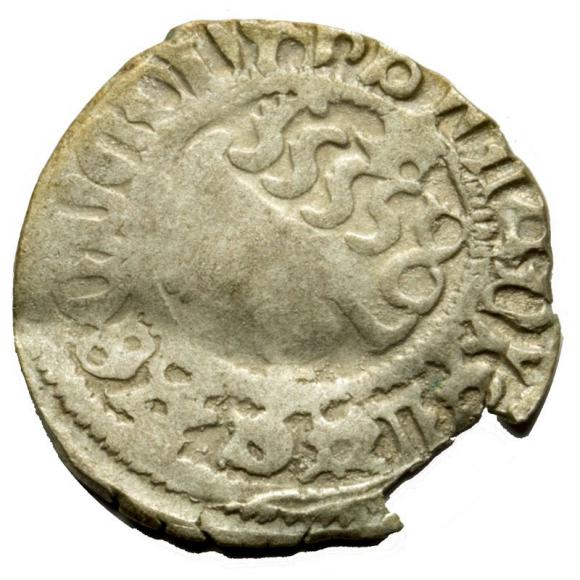 Halerz Władysław II Jagiellończyk Czechy (1)