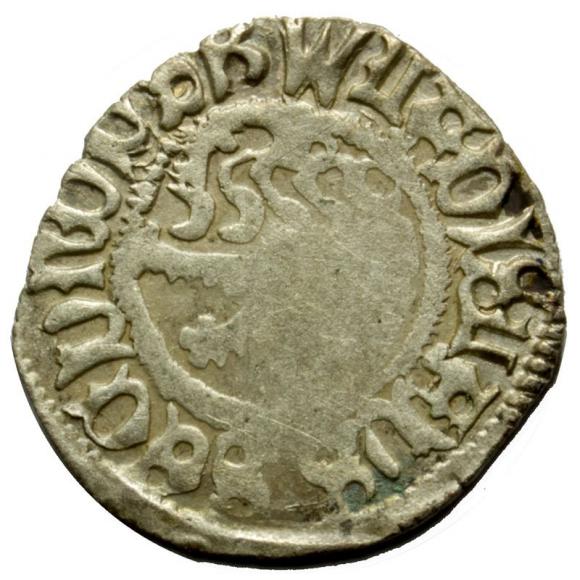 Halerz Władysław II Jagiellończyk Czechy (1)
