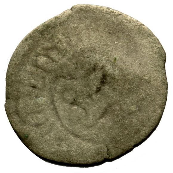 Halerz Władysław II Jagiellończyk Czechy (2)
