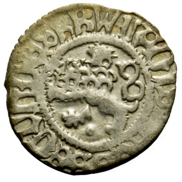 Halerz Władysław II Jagiellończyk Czechy (1)