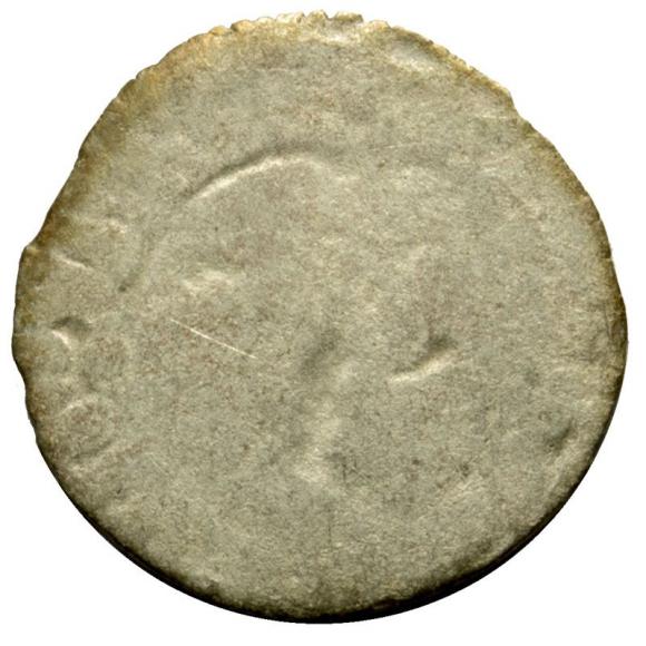 Halerz Władysław II Jagiellończyk Czechy (2)