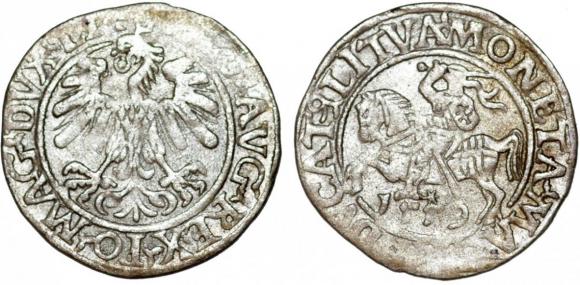 Półgrosz 1559 Zygmunt August Wilno (1)