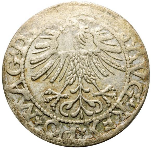 Półgrosz 1562 Zygmunt August Wilno (2)