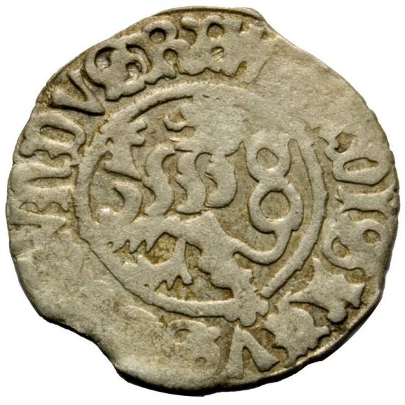 Halerz Władysław II Jagiellończyk Czechy (1)