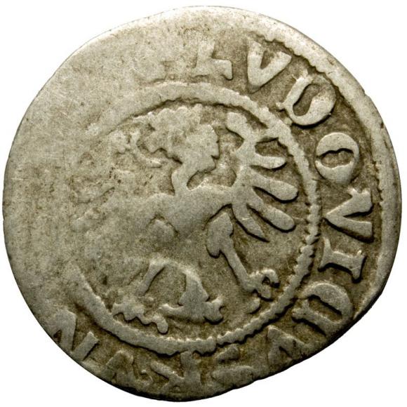 Półgrosz 1526 Ludwik I Jagiellończyk Świdnica (2)