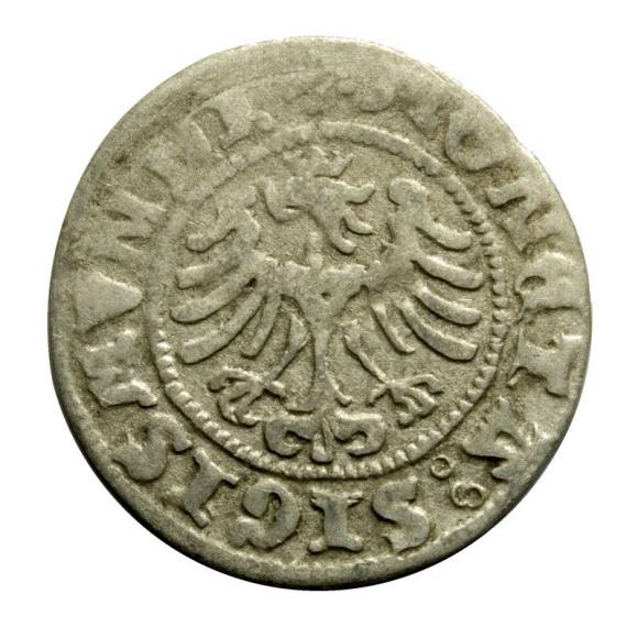 Półgrosz 1507 Zygmunt I Stary Kraków (2)