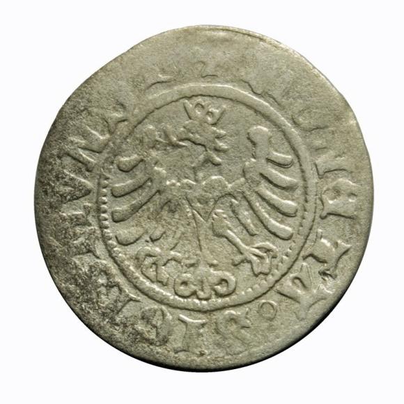 Półgrosz 1507 Zygmunt I Stary Kraków (1)